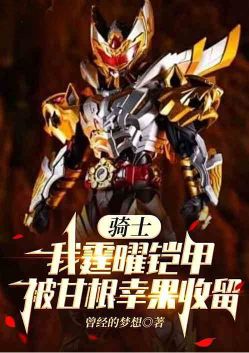 Knight: My Thunder Armor was taken in by Gangen Xinguo