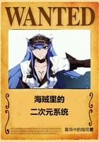 Two-dimensional system in Pirate