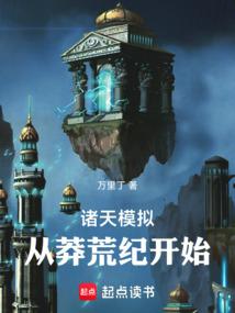 Simulation of the Heavens: Starting from the Age of Desolation